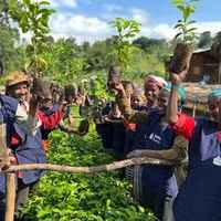 Ethiopia - Taferi Kelu