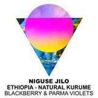 Niguse Jilo - Ethiopia