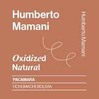 Bolivia, Humberto Mamani, Pacamara, Coco (Oxidized) Natural
