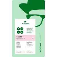 Kenya Kariti Kianjege AA