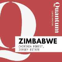 ZIMBABWE, Chirinda Forest, Jersey Estate
