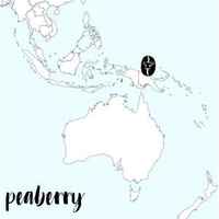 Peaberry Papua New Guinea Elimbari