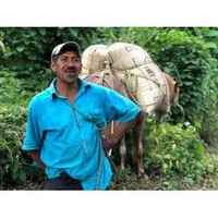 Colombia Finca El Cedro