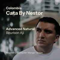 CXN - Cata by Nestor (Colombia)