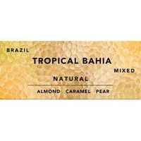 Brazil Tropical Bahia Natural