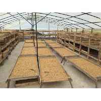 Colombia FNC Santa Marta Women's Cooperative