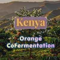 Kenya | Orange Coferment