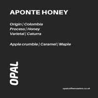 Aponte Honey Colombia