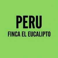 Peru Finca El Eucalipto
