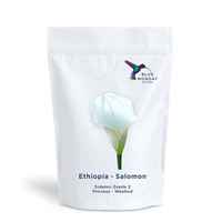 Ethiopia Salomon
