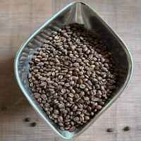 COFFEE OF THE MOMENT: GUATEMALA - Todosanterita