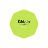 Ethiopia Hambela Washed