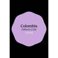 Colombia Gilberto Chilo Washed