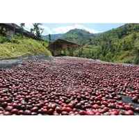 Rwanda - Shyira (Washed)