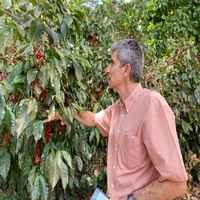 El Corozo - El Salvador
