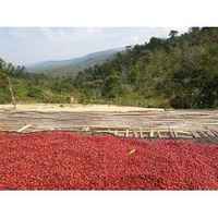 Ethiopia Yirgacheffe Dumerso