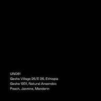 UN081 - Gesha Village 26/E-26, Gesha 1931, Natural Anaerobic