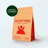 Mexico El Jaguar