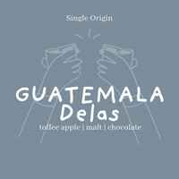 Guatemala | Magdalena Camaja Café Delas