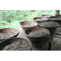 Old Brown Java