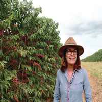 Brazil Fazenda Terra Preta Yellow Bourbon