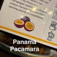 Panama Pacamara 125g
