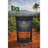 Brazil Santos