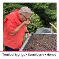 Panama Chiriquí Altieri Geisha Natural 80g