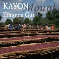 Ethiopia Guji Kayon Mountain - Organic