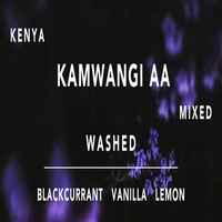 Kenya Kamwangi AA Washed