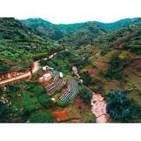 Rwanda - Shyira (Anoxic Washed)