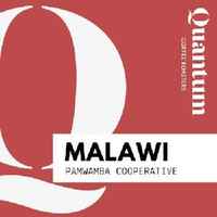 MALAWI, Pamwamba Cooperative, AA Plus
