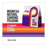 Indonesia Team Pegasing CM