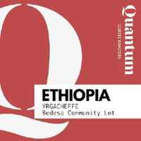 Ethiopia - Yirgacheffe, Bedesa Community Lot