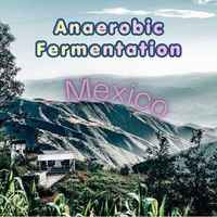 Mexico Anaerobic Fermentation