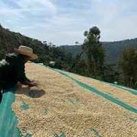 Ethiopia Sidamo