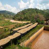 Izuba, Burundi