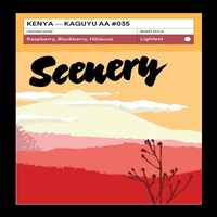 Kenya - Kaguyu AA  #035 [25/26]