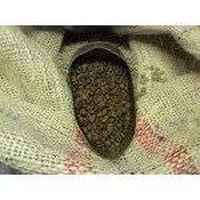 Mexican Altura Finca Aurora Oaxaca