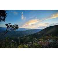 Inza Cauca (Washed) - Colombia