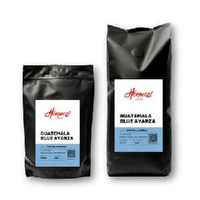 Guatemala Blue Ayarza