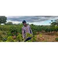 Iyenga AB - Tanzania
