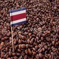 Costa Rica 125g