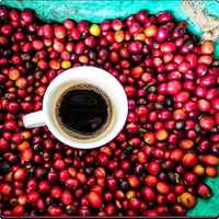 Colombian Espresso