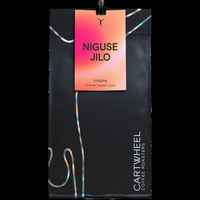 Niguse Jilo