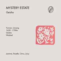 MYSTERY ESTATE • Yunnan Geisha Washed