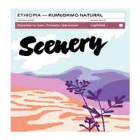 Ethiopia - Rumudamo Natural [25/26]