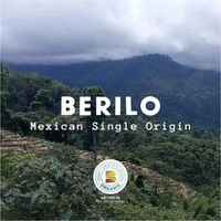 Berilo - Mexico Organic