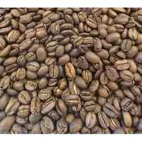 Sulawesi Kalossi Toraja