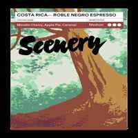 Costa Rica - Roble Negro Espresso